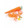 Meri Meri Surprise Carrots accessories 