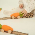 Oli and Carol Cathy the carrot baby car toy  Teething Accessories 