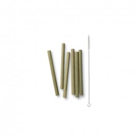 Bamboo Straws set of 6 